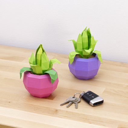 Agáve – papírový 3D model PaperTime