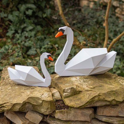 Labutí rodinka – papírový 3D model PaperTime